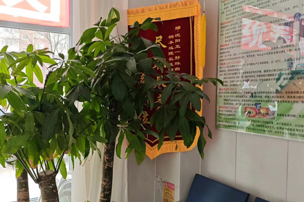 毛细血管破裂会导致静脉曲张吗？大连下肢静脉曲张运动能自己变好?