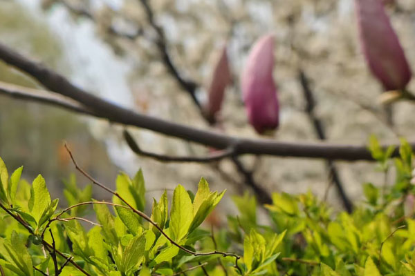 如何通过日常护理降低发病风险？大连下肢静脉曲张的预防措施与生活方式调整！