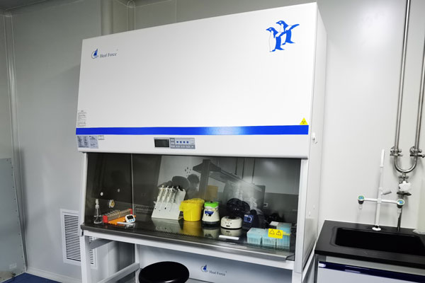 沈阳DNA亲子鉴定机构